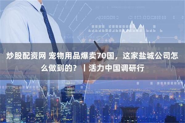 炒股配资网 宠物用品爆卖70国，这家盐城公司怎么做到的？丨活力中国调研行